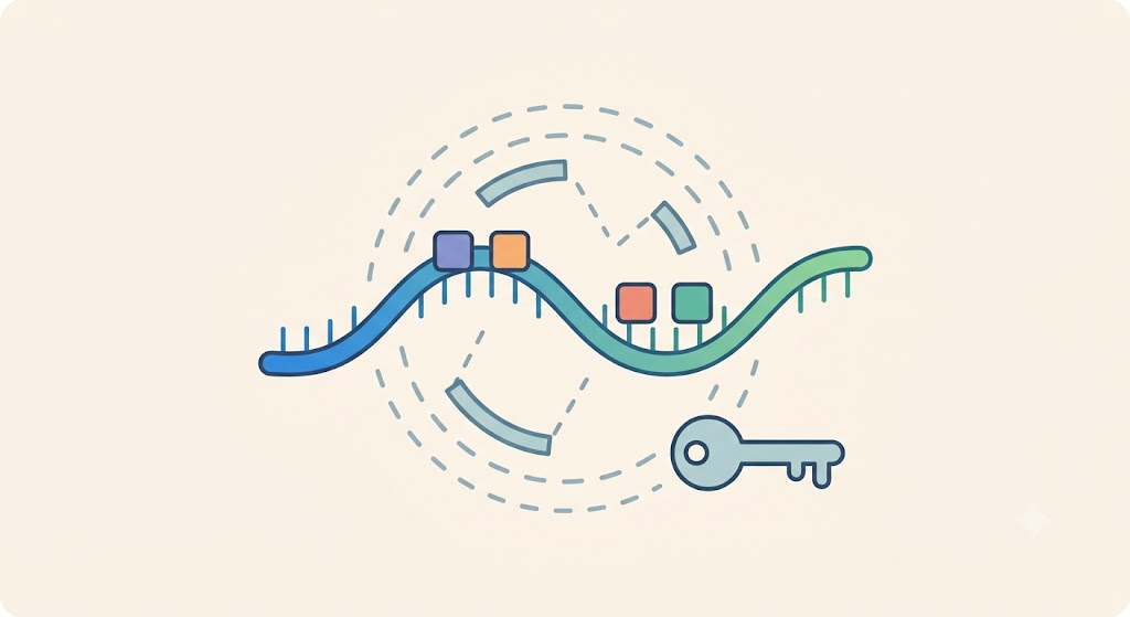 RNA-binding protein